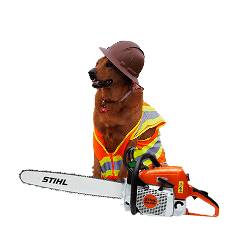 Dog with chainsaw